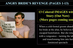 ANGRY-BRIDES-REVENGE-PART-1-REALISTIC