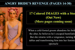 Angry-Brides-Revenge-PART-2realistic