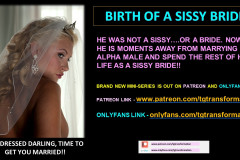 BIRTH-OF-A-SISSY-BRIDE