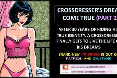 CROSSDRESSERS-DREAM-COME-TRUE-2