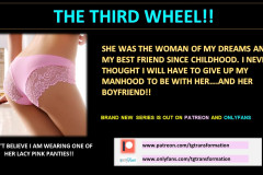 THE-THIRD-WHEEL
