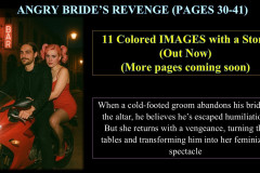 angry-brides-revenge-part-3-realistic