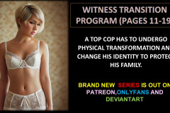 witness-transition-program-part-2